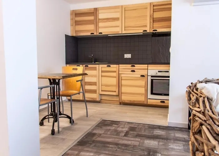 Magnifique T2 A Avec Balcon, Wifi Et Animaux Bienvenus - Fr-1-503-143 *