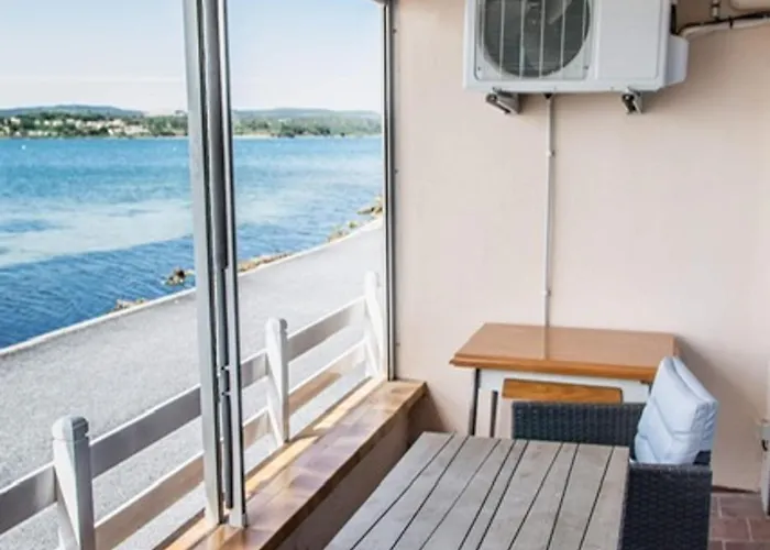Apartment Magnifique T2 A Avec Balcon, Wifi Et Animaux Bienvenus - Fr-1-503-143 *