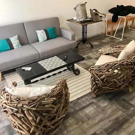 Apartment Magnifique T2 A Avec Balcon, Wifi Et Animaux Bienvenus - Fr-1-503-143 *